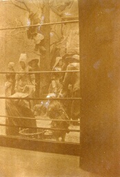 /medias/customer_2/NUMERISATION_2025/45 Fi Collection Pierre Allier/45_Fi_167_jpg_/0_0.jpg